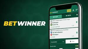 Discover BetWinner The Ultimate Online Casino and Sportsbook Experience