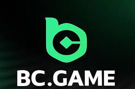Understanding the BC.Game Login Process 874039237